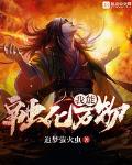 追梦萤火虫 小说