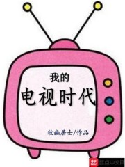 我的电视时代小说全本免费