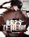 峡谷正能量无错