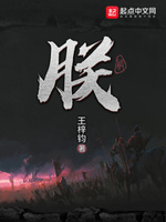 朕小说全文免费阅读下载