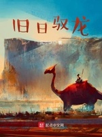 旧日驭龙小说阅读免费下载