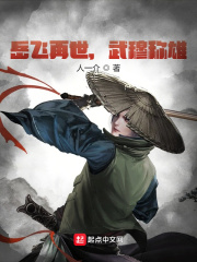 岳飞下凡