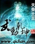 武动乾坤小说阅读免费阅读