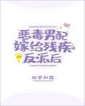 恶毒男配嫁给残疾反派后22