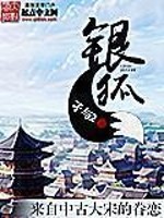 银狐小说全文免费阅读笔趣阁下载百度云
