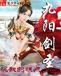 九阳剑圣一样的小说