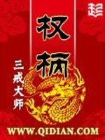 权柄小说txt