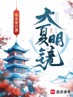 类似大夏明镜的小说