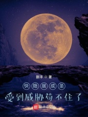 雁未迟穿越小说最新章节