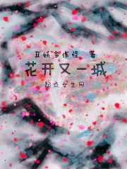 小说宋诚林娉娉得小说叫什么名字
