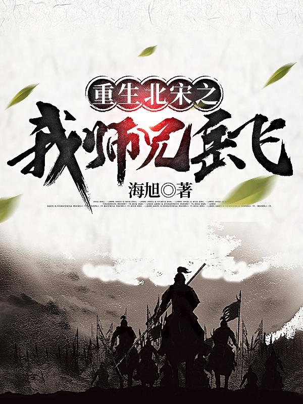 重生北宋之我师兄岳飞小说阅读免费下载