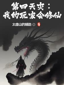 第四天灾沙雕玩家小说