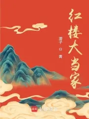 红楼大当家小说全文免费阅读