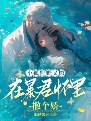 小狐狸[快穿