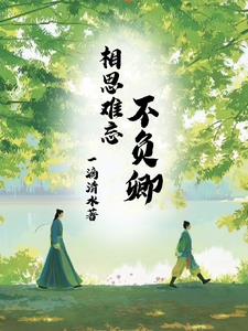 相思不负转流年小说免费