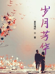 小说迷乱岁月芳华永驻