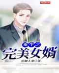 重生之完美赘婿txt