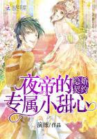夜帝的替婚新妻百度云