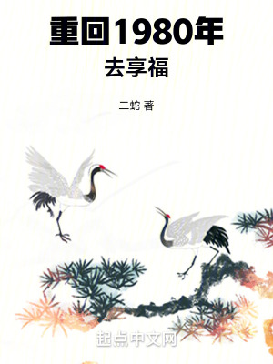 重生:回到1980年当首