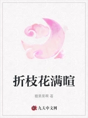 折枝花满衣歌词简谱