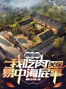 开局成为四合院棒梗的小说