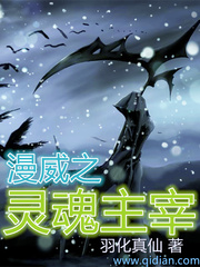 美漫之灵魂主宰txt小说免费阅读全文