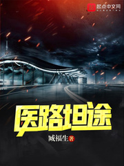 医路坦途小说下载