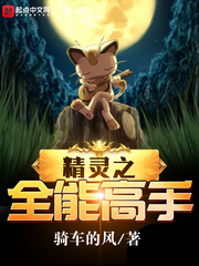 精灵之全能高手下载