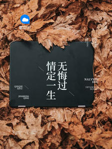 叶南弦和沈蔓歌全文最新章节免费阅读小说