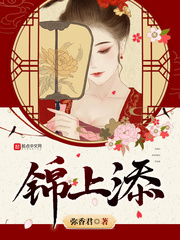 小说锦上添花by