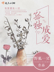 孤独成爱小说全文免费阅读