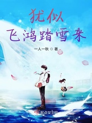 犹如飞鸿踏雪泥