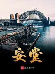 安堂认母折子戏词
